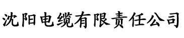 食色ios苹果版电缆厂logo